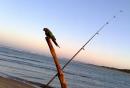 Surf fishing at Seven Mile Beach