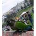 Annual Kite Flying Festival at Bondi Beach