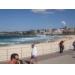 Surf at bondi beach